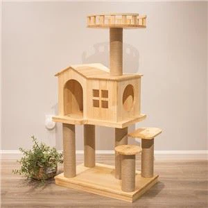 Quadro de escalada de gato